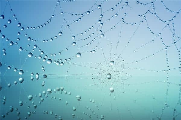 梦见露珠是什么意思 梦见露珠是什么意思