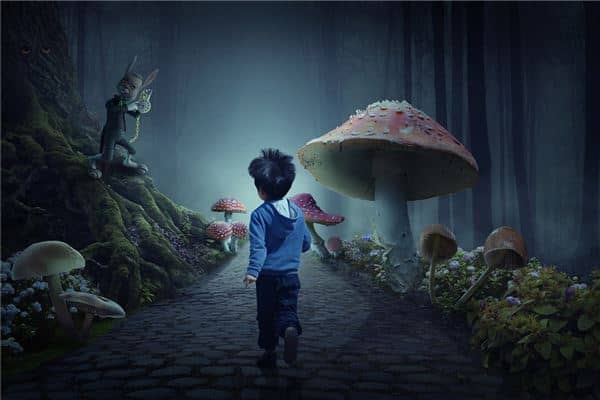 梦见美丽的仙境