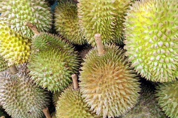 梦见买榴莲 梦见买榴莲