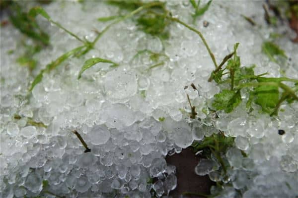 梦见自己被冰雹砸伤