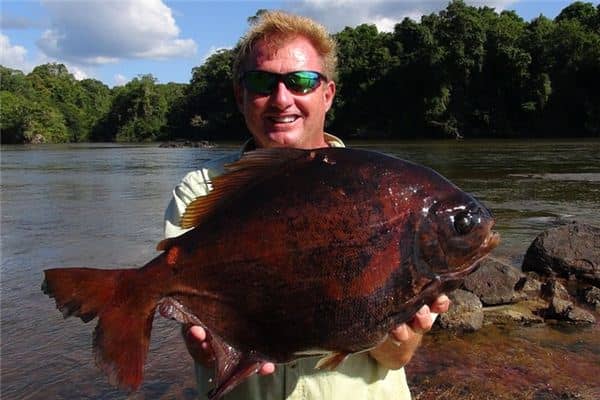 梦见抓到大鱼 梦见抓到大鱼