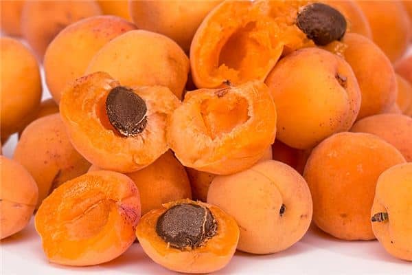 梦见吃青杏 梦见吃青杏