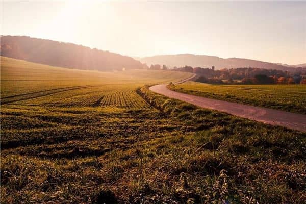 梦见黑色的土地