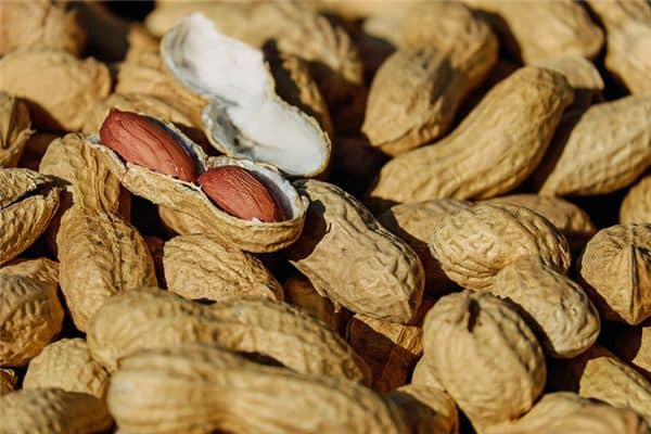 梦见拔花生 梦见拔花生