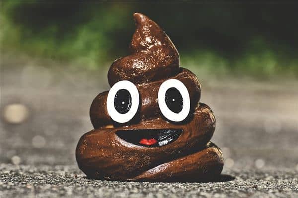 梦见屎是什么预兆 梦见屎是什么预兆