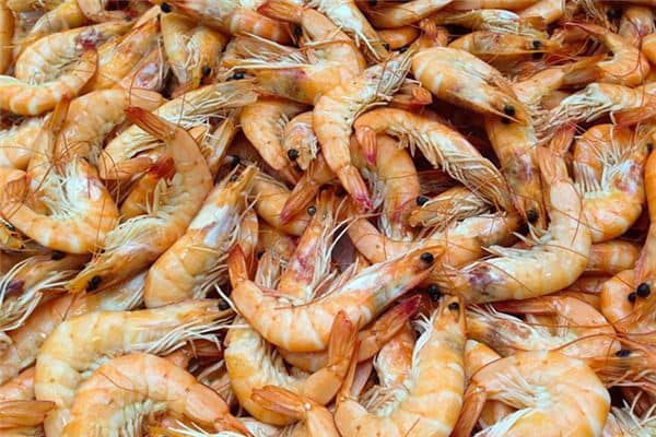 梦见好多虾 梦见好多虾