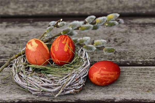 梦见自己下蛋 梦见自己下蛋