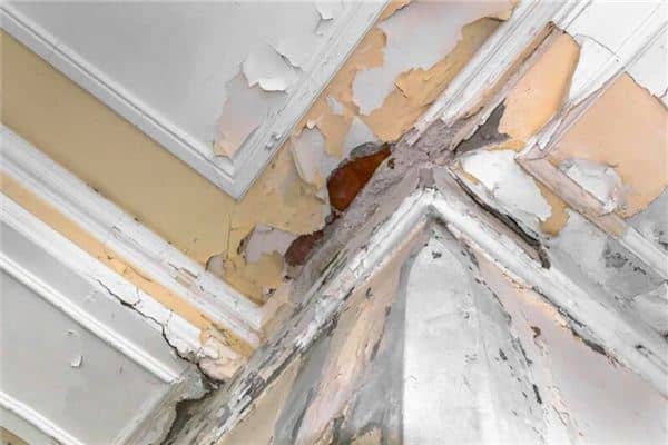 梦见老房子漏雨 梦见老房子漏雨