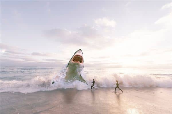 梦见很大的鱼 梦见很大的鱼