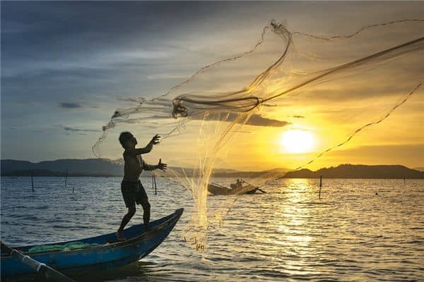 梦见自己抓鱼 梦见自己抓鱼