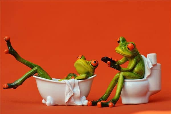 梦见厕所很多大便 梦见厕所很多大便