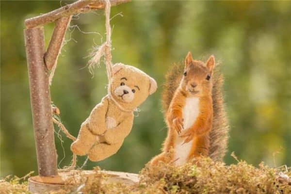 梦见老婆上吊未死