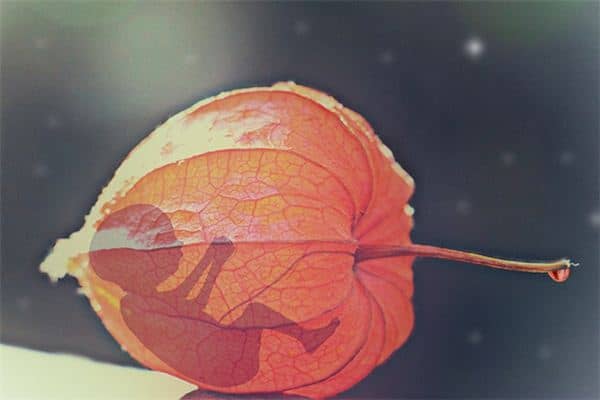 梦见自己流产出血 梦见自己流产出血