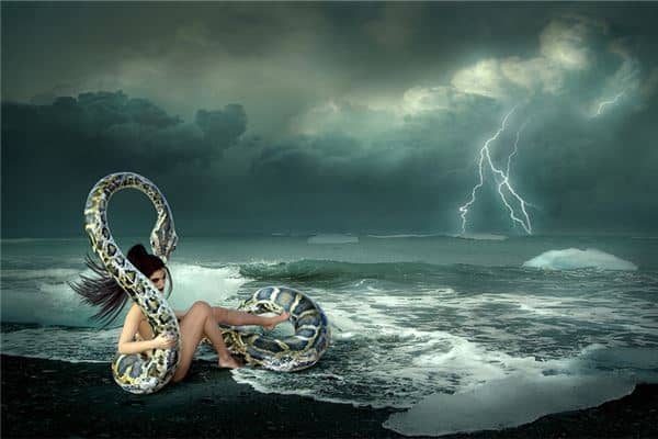 梦见蛇和自己说话 梦见蛇和自己说话