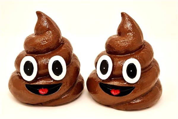 梦见自己在拉屎是什么意思 梦见自己在拉屎是什么意思