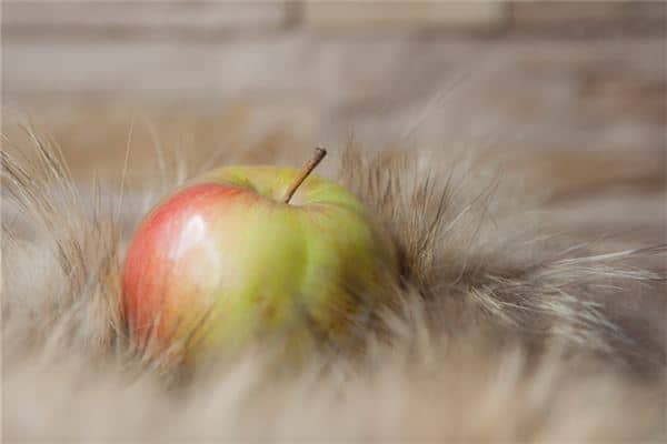 孕妇梦见自己吃苹果