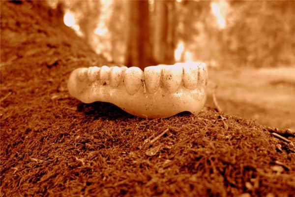 梦见牙齿全部掉光 梦见牙齿全部掉光