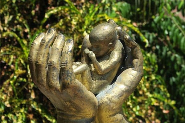 梦见自己流产了 梦见自己流产了