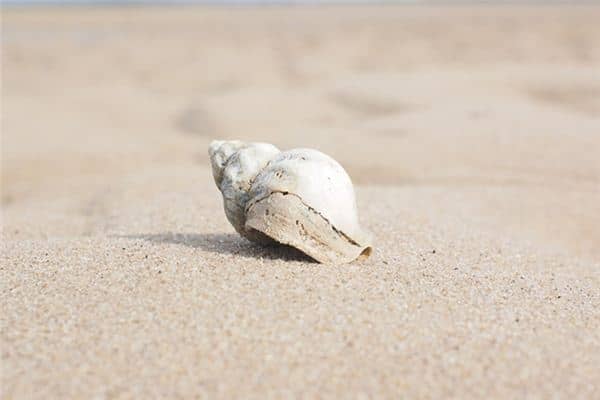 梦见摸螺丝是什么意思 梦见摸螺丝是什么意思