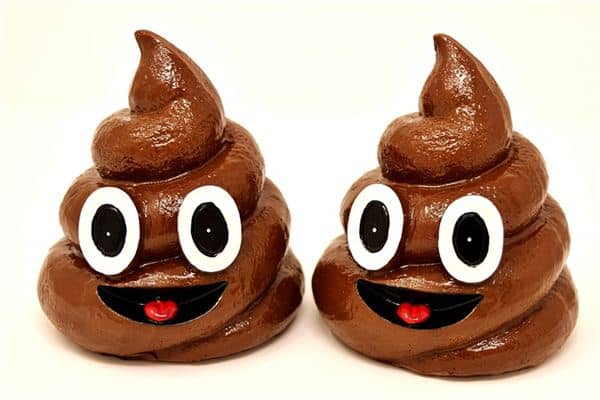 梦见扫大便是什么意思 梦见扫大便是什么意思