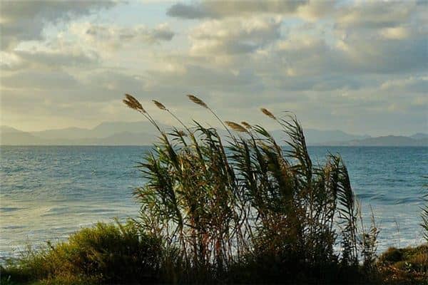 梦见吹大风是什么意思 梦见吹大风是什么意思