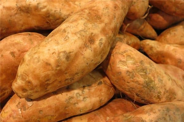 梦见种红薯是什么意思 梦见种红薯是什么意思