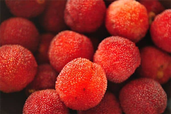 梦见吃杨梅是什么意思 梦见吃杨梅是什么意思