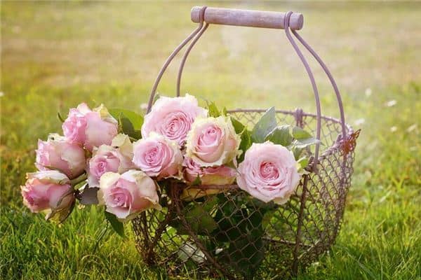 梦见自己在是什么意思 梦见自己在是什么意思