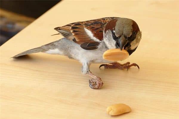 梦见被偷了是什么意思 梦见被偷了是什么意思