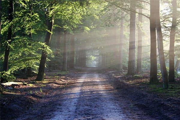 梦见路断了是什么预兆 梦见路断了是什么预兆