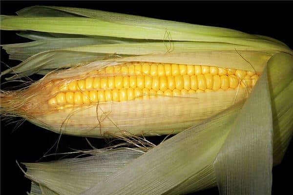 梦见烤玉米是什么意思 梦见烤玉米是什么意思