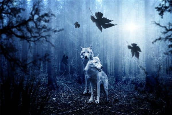 梦见被狼咬是什么意思 梦见被狼咬是什么意思