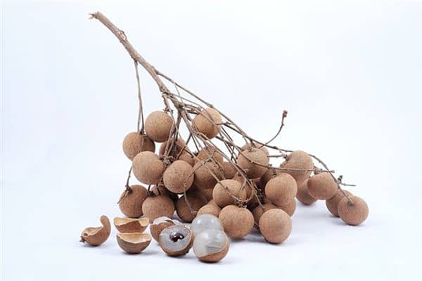 梦见吃龙眼是什么预兆 梦见吃龙眼是什么预兆