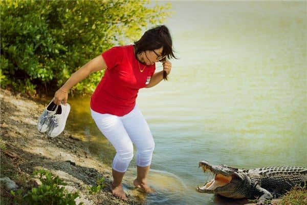 梦见孕妇鳄鱼是什么意思 梦见孕妇鳄鱼是什么意思