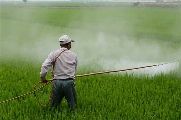 梦见打农药是什么意思 梦见打农药是什么意思