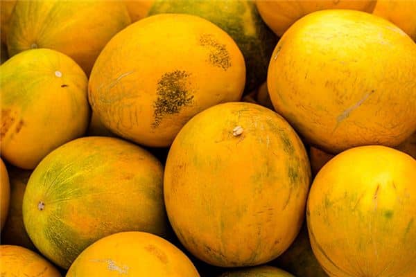 梦见吃甜瓜是什么预兆 梦见吃甜瓜是什么预兆