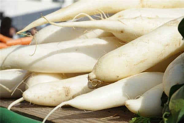 梦见白罗卜是什么意思 梦见白罗卜是什么意思