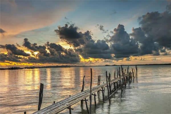 梦见独木桥是什么预兆 梦见独木桥是什么预兆