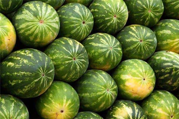 梦见大西瓜是什么意思 梦见大西瓜是什么意思