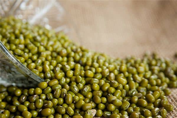 梦见种豆子是什么意思 梦见种豆子是什么意思