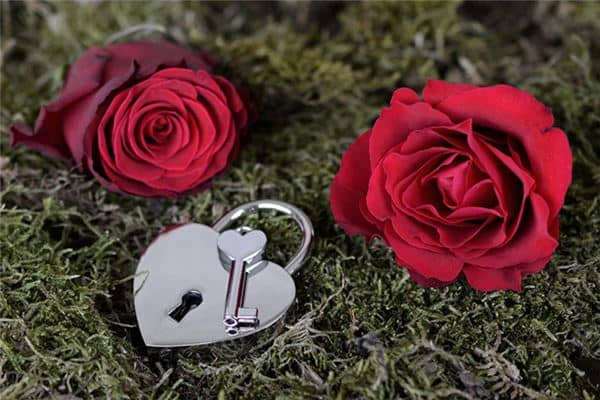 梦见桃花运是什么意思 梦见桃花运是什么意思