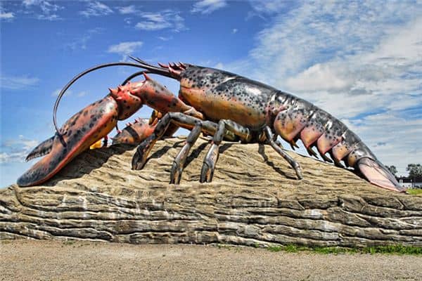 梦见大龙虾是什么意思 梦见大龙虾是什么意思