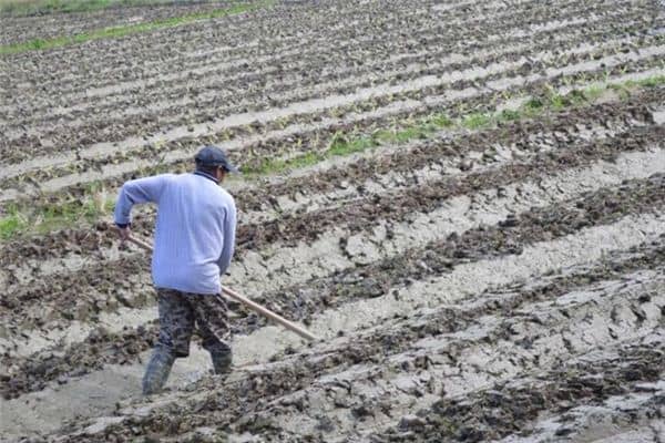 梦见干农活是什么意思 梦见干农活是什么意思