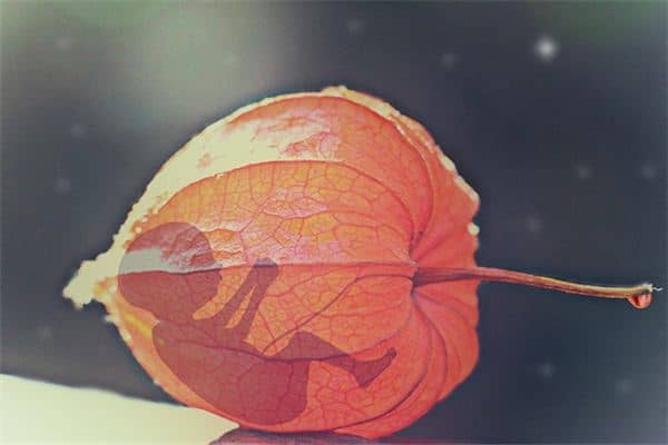 梦见自己流产是什么意思 梦见自己流产是什么意思