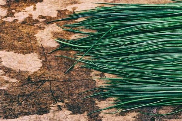 梦见买韭菜是什么意思 梦见买韭菜是什么意思