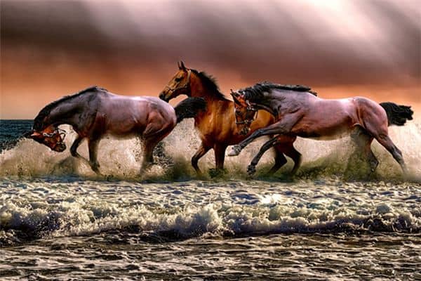 梦见马死了是什么意思 梦见马死了是什么意思