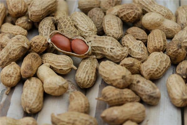 梦到收花生 梦到收花生