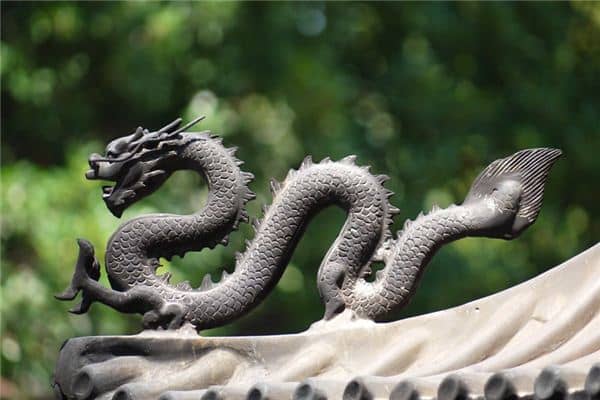 梦见两条龙是什么意思 梦见两条龙是什么意思