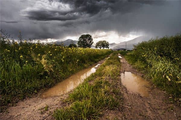 梦见泥泞路是什么预兆 梦见泥泞路是什么预兆