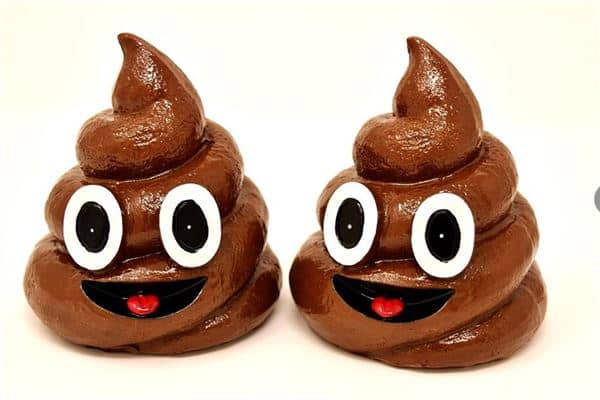 梦见男孩拉屎是什么意思